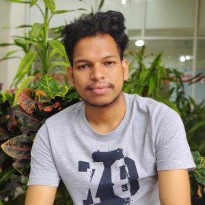 Umashis Bhoi image