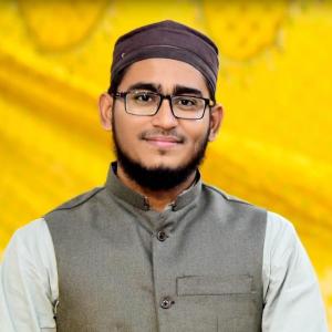 Hafiz Syed Anas Mehdi image