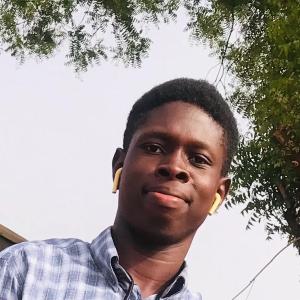 Alokolodo Emmanuel image
