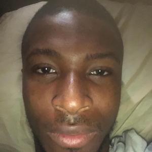 Sylvester image