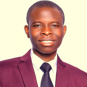 Ilemobayo Victor Fasogbon image