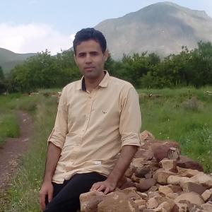 Amir Baghban image
