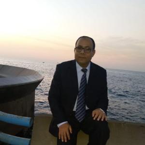 Mostafa Gad El-rab image