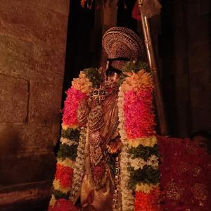 Srividhya image