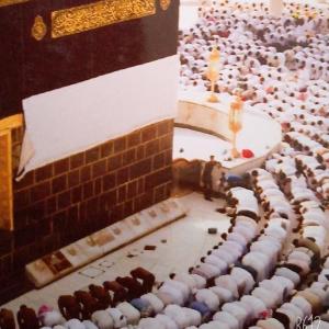 Mahii Kamill image