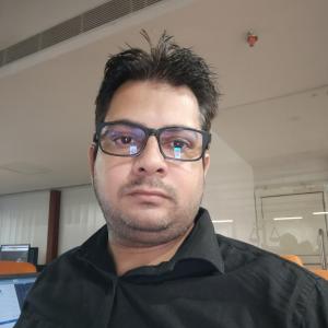 Ravinder Puri image