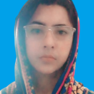 Maryyam Mehmood image
