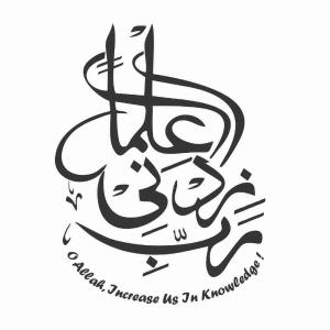 Samina image