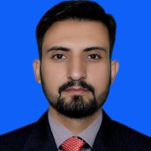 Sadaqat Hussain image