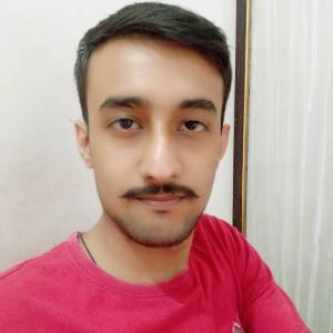 Ayush Vanvary image