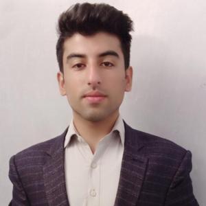 Shah Faisal image