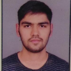 Rahul Antil image