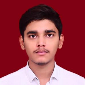 Aarav Jaiswal image