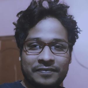 Debashis Duari image