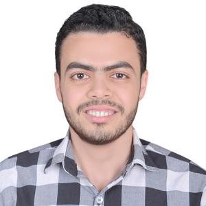 Ahmed Said image