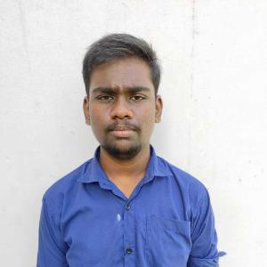 Krishnan image