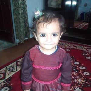 Sadia image