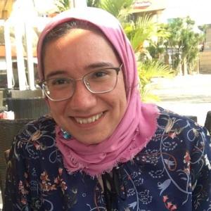 Dina Amin image