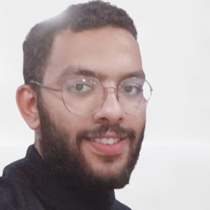 Mostafa Abdelhameed image