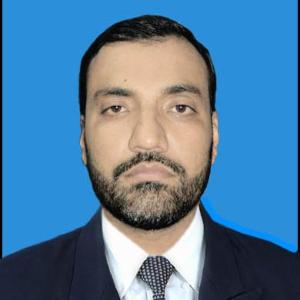 Majid Ali image