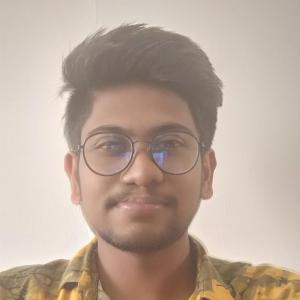 Sabhariraj M image