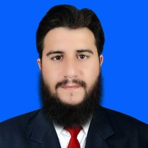 Sadam Hussain image