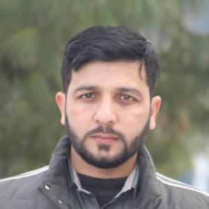 Adil Hashmi image