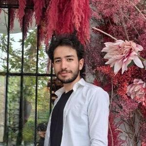 مصطفی سیدآبادی image