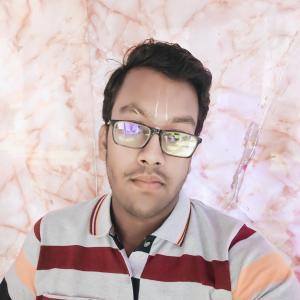 Mridul Goyal image