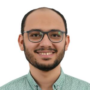 Abdelrahman Bayoumy image