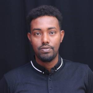Ahmed image