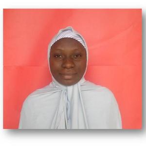 Mariam Ibrahim image