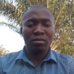 Ariyo Adeyemo image
