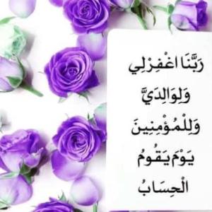 Umme Zayyan image