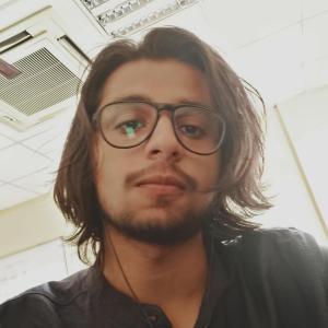 Parth Shukla image