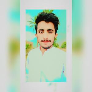 Abdul Majeed image