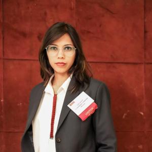 Shreya Singh Rajput image