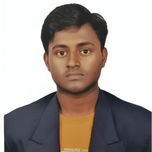 Pravin Raj image