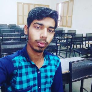 Sanjay image