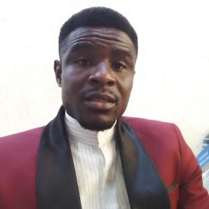 Louis Becon Ayegbeni image