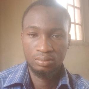 Inakoju O. Idris image