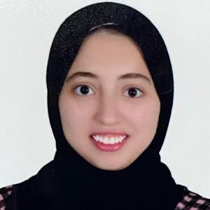 Sara Basheer image