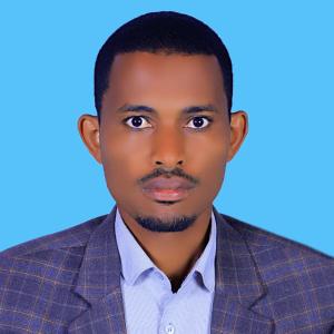 Tariku Birabasa Mekonnen image