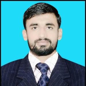 Shah Zeb image