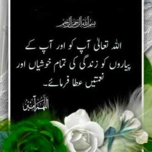Sabahat Khakeem image