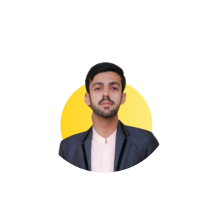 Faizan Ali image