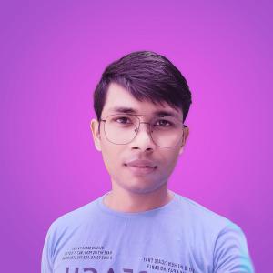 Shivsankar Biswas image