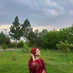 Arona Hamid image