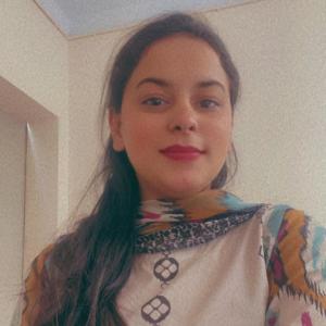 Meerab Afzal image