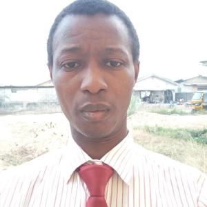 Olumide Ajayi image